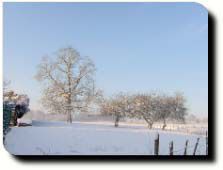 Champs de Montigny la Resle sous la neige